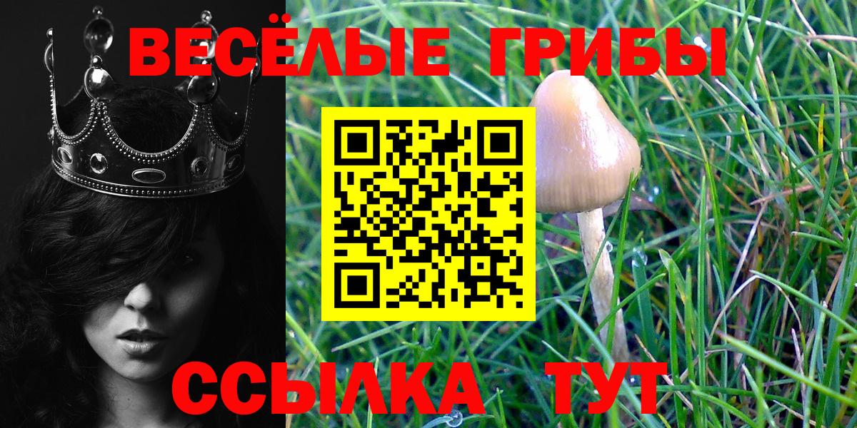 даркнет сайт  Вход с VPN  Тула  Галлюциногенные грибы мухоморы 